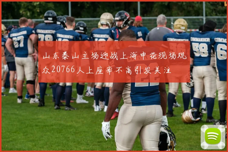 山东泰山主场迎战上海申花现场观众20766人上座率不高引发关注