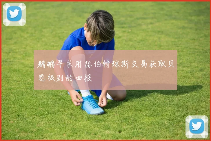 鹈鹕寻求用赫伯特琼斯交易获取贝恩级别的回报