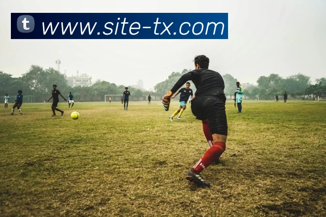 赛事专题整合